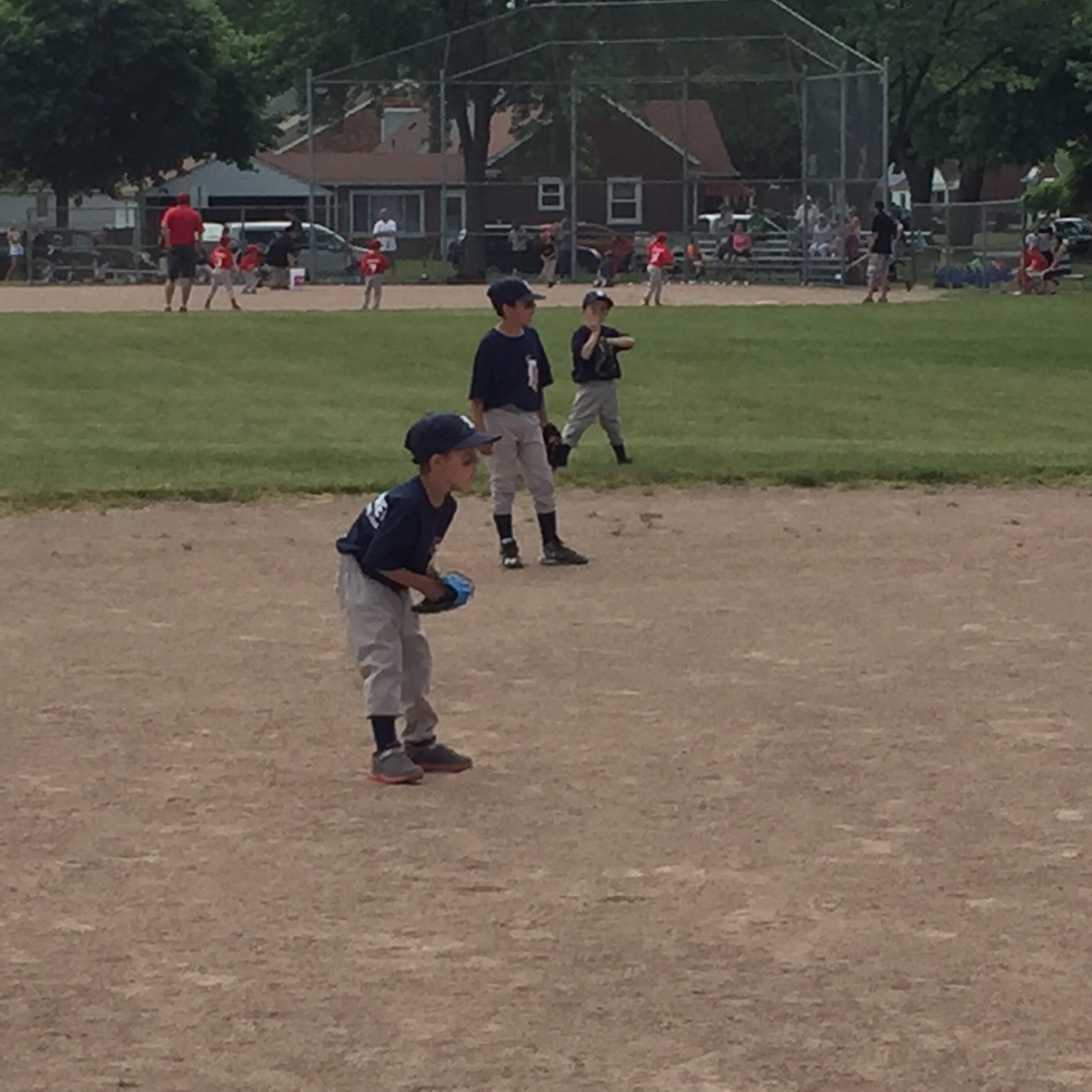 Coach Pitch Rules   Dearborn Baseball